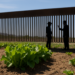 Difieren México y EU sobre origen de brote