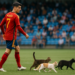 Morata, un capitán de España en Segunda