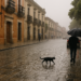 Clima en México: Oaxaca espera lluvias intensas este sábado 15 de agosto