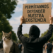 La emotiva súplica de Archie Goodburn: "Dennos la oportunidad de luchar por nuestras vidas"