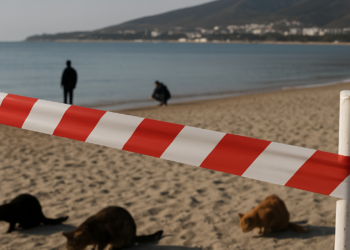 Rusia cerró las playas de la ciudad de Guelendzhik tras el ataque ucraniano con drones y puso a la región bajo alarma
