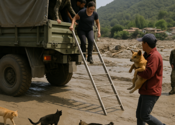Evacúan a más de 600 personas varadas por cinco días tras aluvión en carretera de Perú