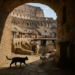 Roma subterránea, los sitios ocultos que muestran otra historia de la ciudad