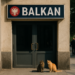 ‘If we exhibited all the Balkan jokes, we wouldn’t have opened’: a trip to Slovenia’s Bullshit Museum | Museums