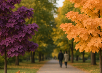 The Top Fall 2026 Color Trends, From Royal Purple to Juicy Peach