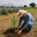 Tequila Campo Azul apuesta por producción sustentable con jornada de reforestación