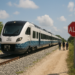 Tren Maya reporta un percance de vía en la ruta Cancún-Palenque; no hubo lesionados