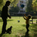 La verdad y la mentira en "Un hijo propio"