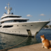 Yusaku Maezawa’s $350 M. Yacht: Industry Moves for August 19, 2026