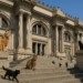 What In The World Is The Met Museum Doing?