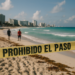 ¿Qué pasó el viernes en Cancún?