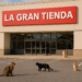 La Gran Carpa