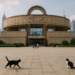China y la era de los museos-paisaje | Del tirador a la ciudad | Cultura