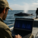 Cómo los científicos entrenaron inteligencia artificial para descifrar el comportamiento nocturno de las ballenas