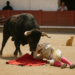 Toros: El novillero catalán Mario Vilau sufre una grave cornada en El Hoyo de Pinares (Ávila) | Cultura