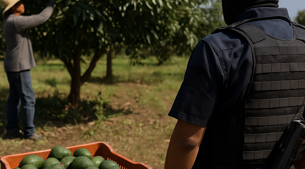 Narcotráfico, armas y extorsión al aguacate: ¿por qué Estados Unidos ofrecía 3 millones de dólares por “El R-5”?