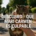 Jordi Évole, muy crítico sobre el caso Maricarmen: "Me estoy enterando de que Mari Carmen es la auténtica responsable de esta situación"