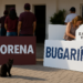 Deja Morena a Bugarín, del PVEM, 'coordinación' en Nayarit