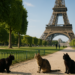 El escándalo que hizo temblar la torre Eiffel