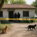 Hallan muerta a familia  en Montemorelos, NL