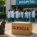 Manda salmonella a 15 médicos de HGM a terapia intensiva