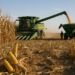 FAO prevé producción mundial de maíz de 1,309 millones de toneladas en 2026
