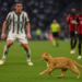 Gatti salva a la Juventus ante un Milan con pocas ideas