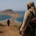 Los rebeldes hutíes de Yemen tomaron una isla clave que da acceso al mar Rojo