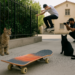 Jerry Hsu on Skating in His 40s, Running Sci-Fi Fantasy, and His New Photo Book How About Never