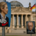 La líder de la AfD asegura a Merz que su partido fue "pulverizado" en las elecciones de Alemania