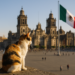 México me ha dado mucho.- Tom Cruise