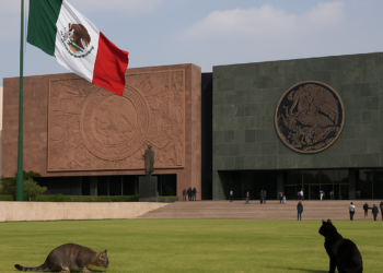 Avanza en San Lázaro "Ley Antimemes"