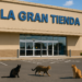 La Gran Carpa