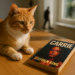 ‘Carrie’ Adaptations, Definitively Ranked