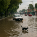 Dejan lluvias inundaciones en Tláhuac