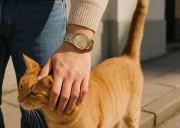 Actually, You Can Wear a Gold Watch Every Day