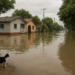 Lluvias por 'Rachel' dejan inundaciones en 7 estados