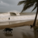 Huracán Simon categoría 4 amenaza al Pacífico mexicano; estos estados tendrán lluvias torrenciales
