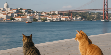 La Portugal que viene