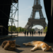 The Best Behind-the-Scenes Photos From the Spring 2027 Shows in Paris