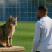 Más miradas que nunca sobre Mbappé