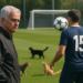 Mourinho, pendiente de Valverde