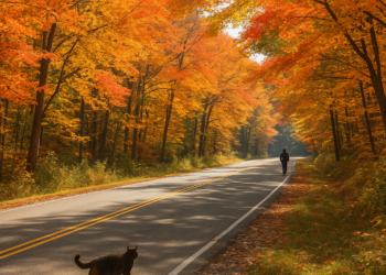 Why Litchfield County, Connecticut Is the Perfect Autumnal Weekend Getaway