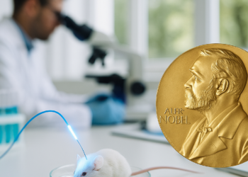 Premio Nobel de Medicina 2026: ¿Qué es la optogenética?