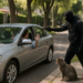 Asaltan a automovilista en Lomas de Chapultepec