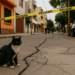 Microsismo de magnitud 2.2 sacude a la alcaldía Tlalpan