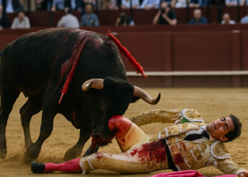 Toros en La Maestranza: Talavante, herido grave en el festival que cerró la temporada sevillana | Cultura